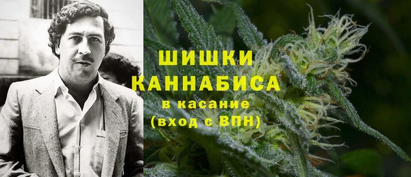 стафф Майский