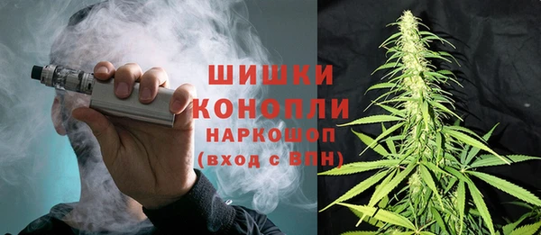 стафф Майский