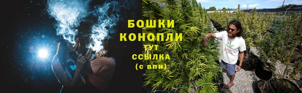 герыч Мегион