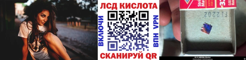 купить наркотик  Махачкала  Наркотические марки 1,8мг 